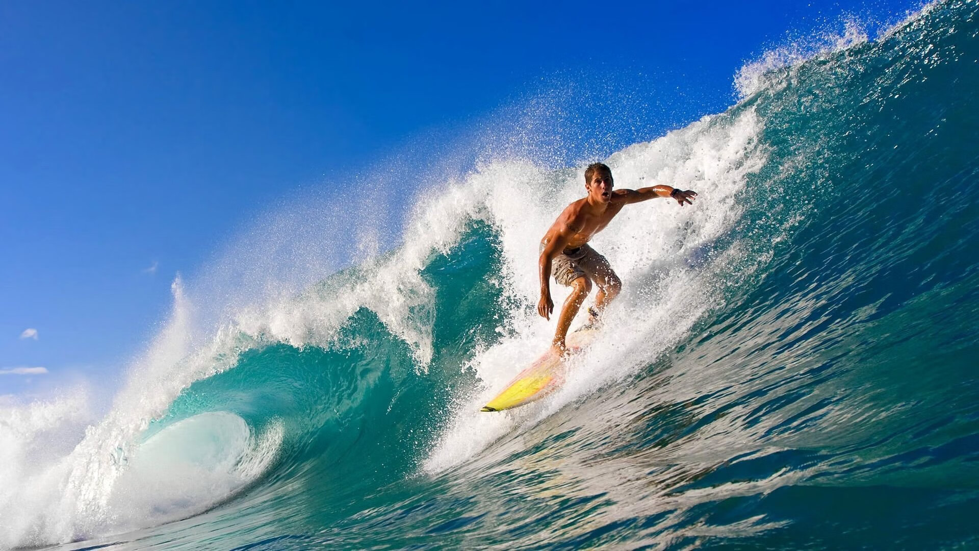 “彼得森的非凡表现助南非羚羊队破纪录创佳绩”