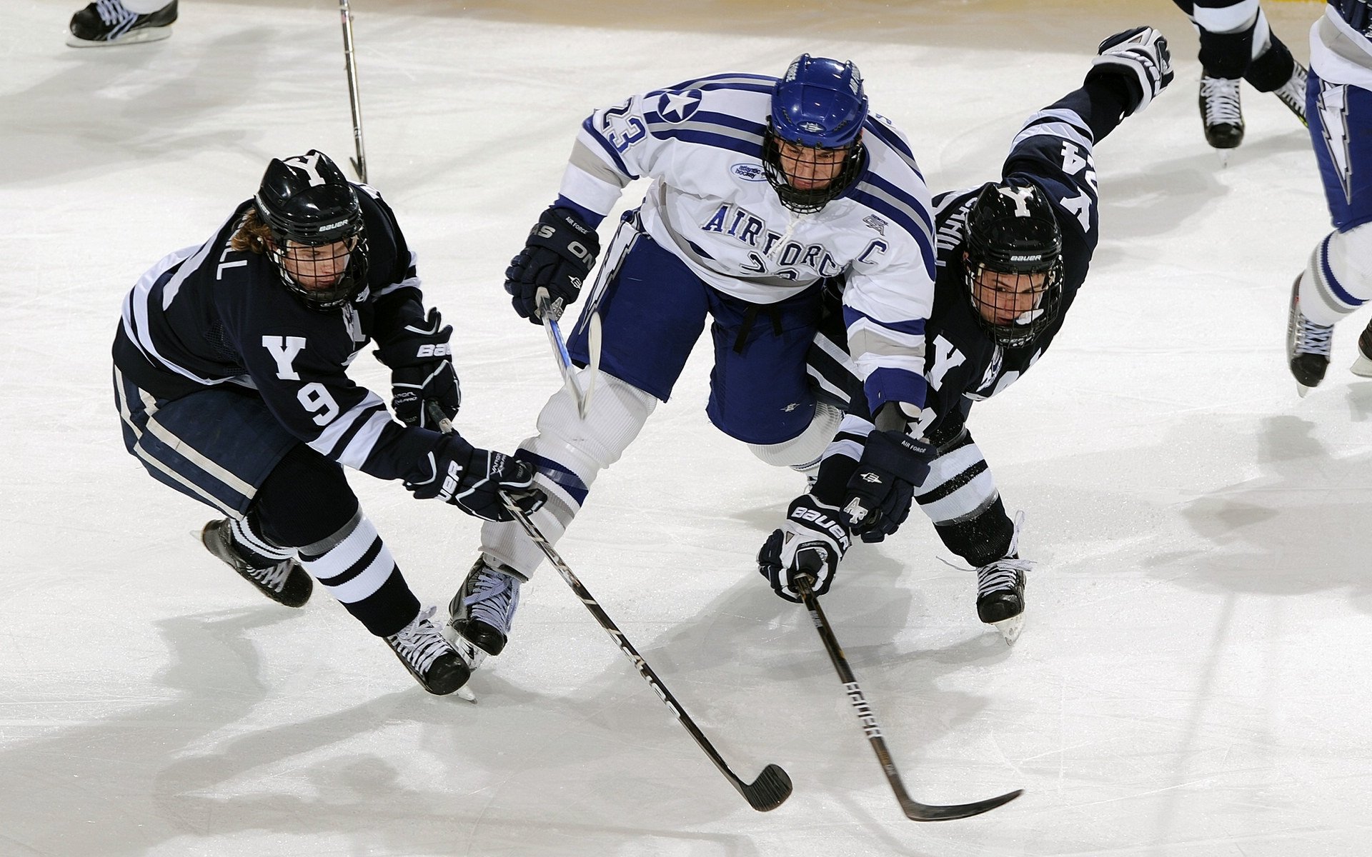 国际游泳锦标赛记录屡创新高，2021国际游泳锦标赛